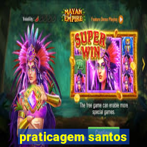 praticagem santos